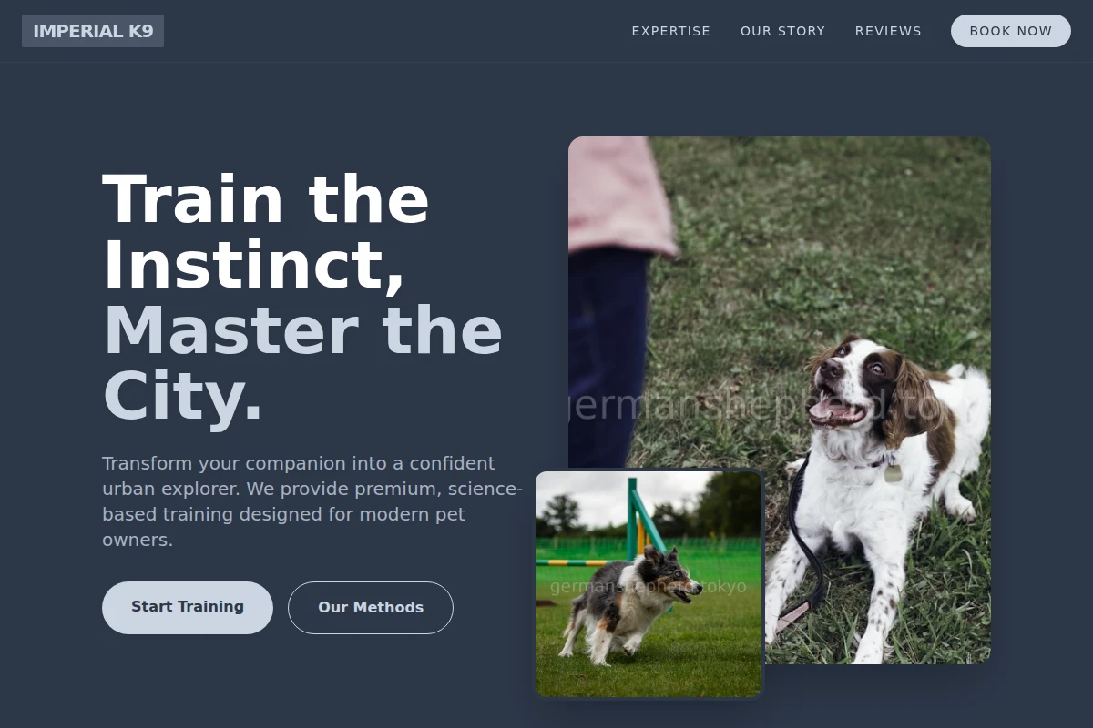 dog-training